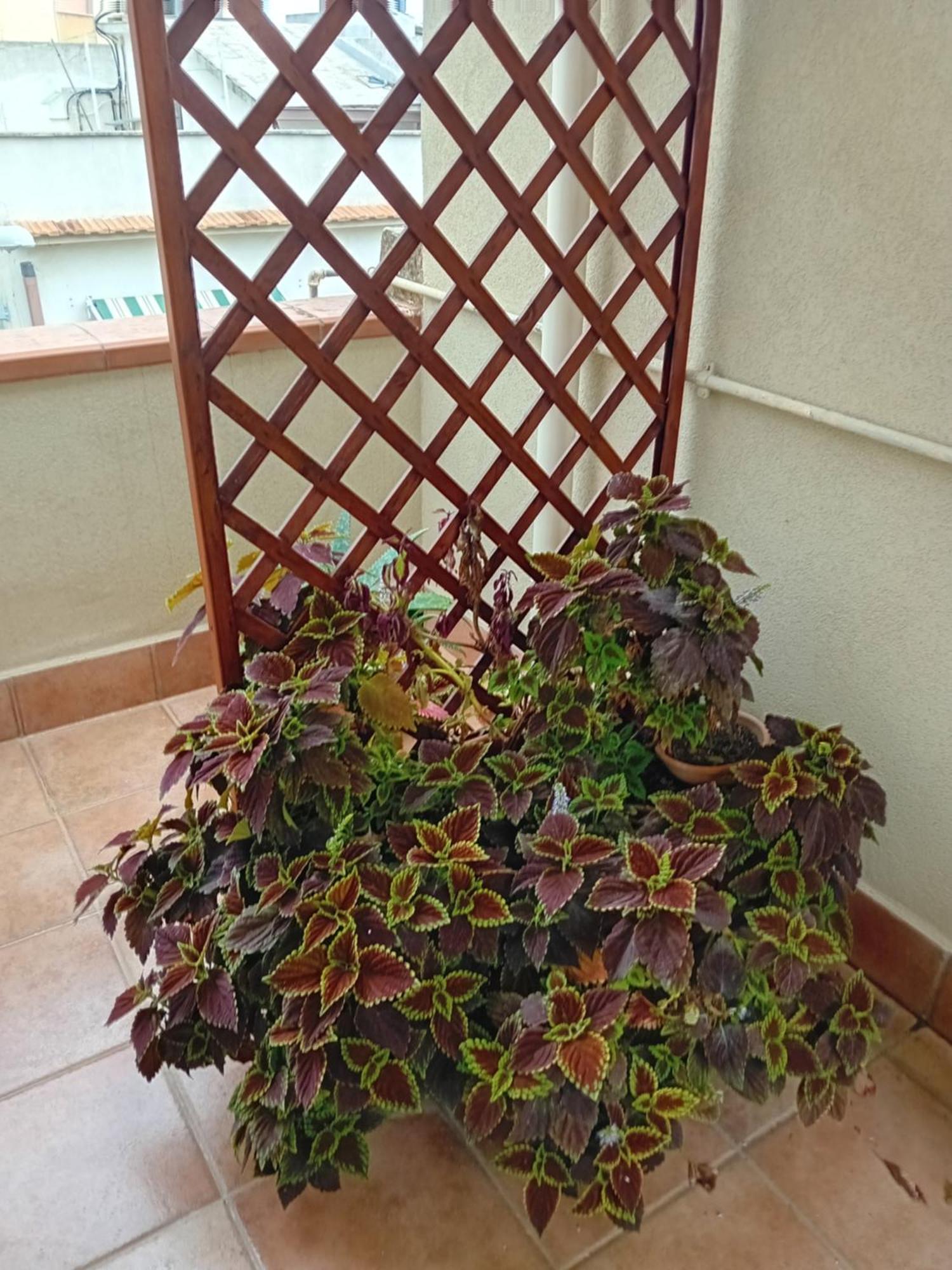A Casa Tua Affitti Brevi Bed & Breakfast Noto Cameră foto